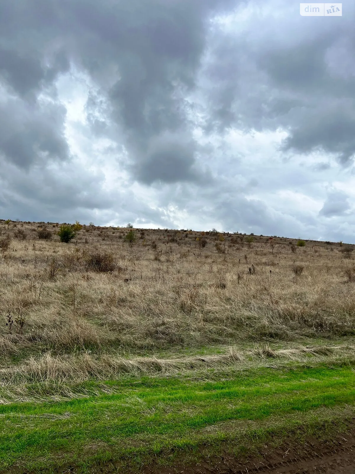 Сдается в аренду земельный участок 17.422 соток в Одесской области, цена: 63287 грн - фото 1
