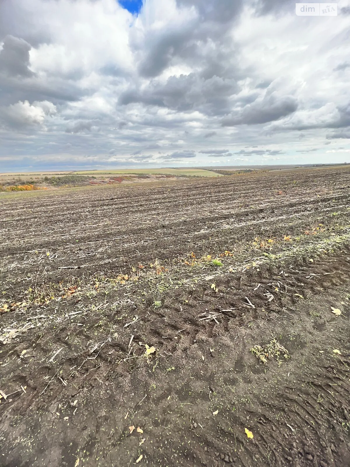 Сдается в аренду земельный участок 16.4521 соток в Одесской области, цена: 63581 грн - фото 1