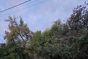 Продажа участка под жилую застройку, Закарпатская, Сторожница, Шевченко улица