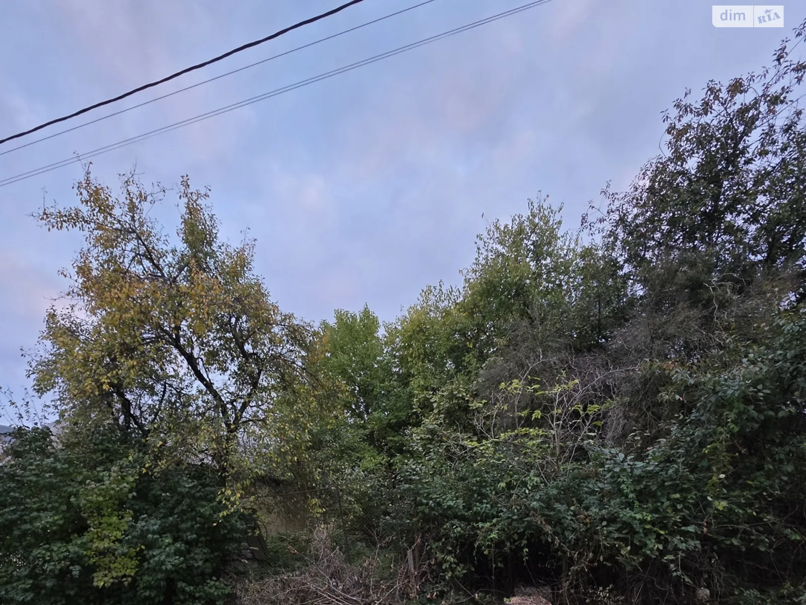 Продается земельный участок 22 соток в Закарпатской области, цена: 55000 $ - фото 1