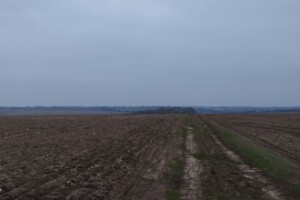 Аренда участков