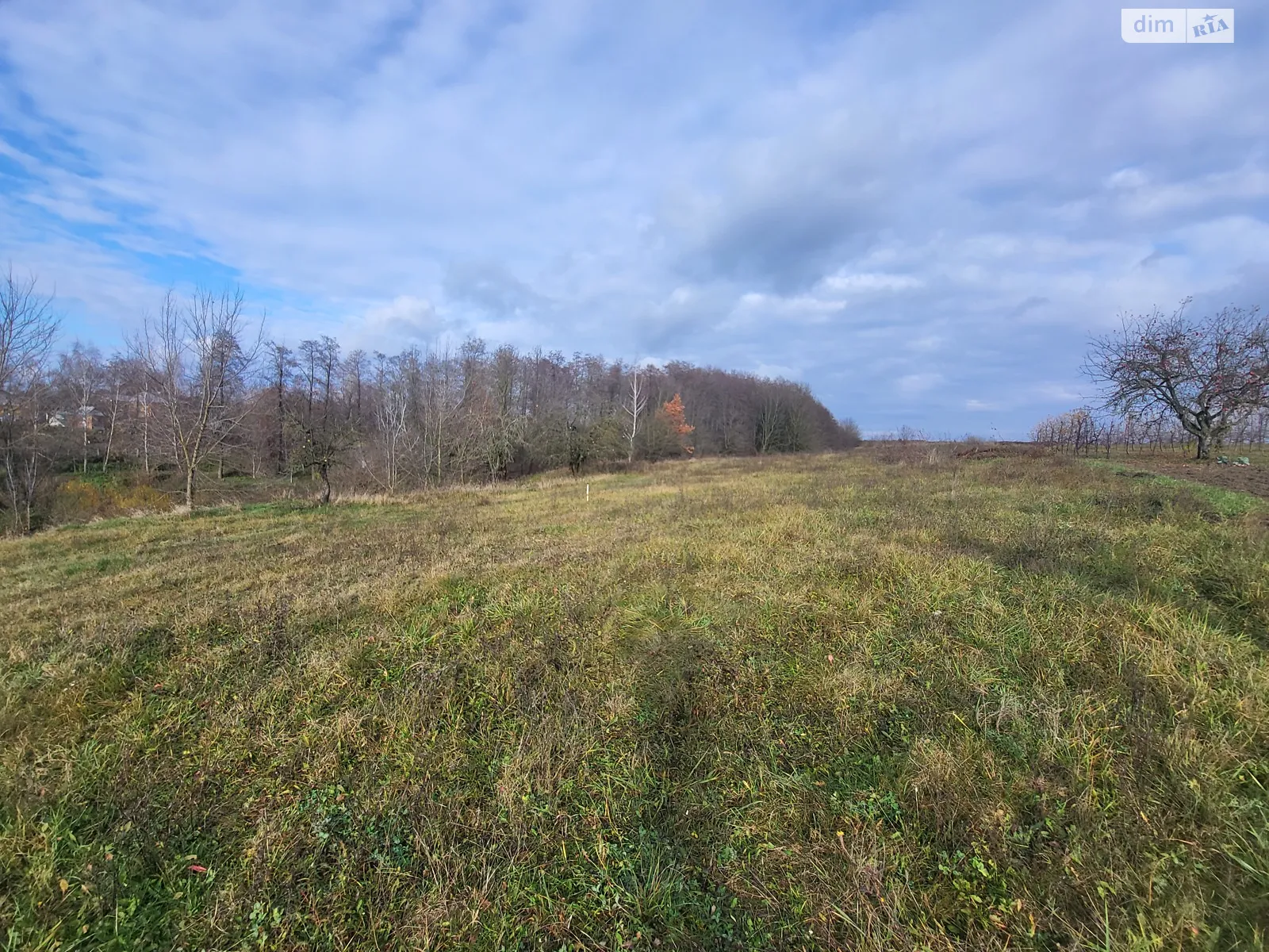 Продается земельный участок 25 соток в Винницкой области, цена: 12500 $ - фото 1