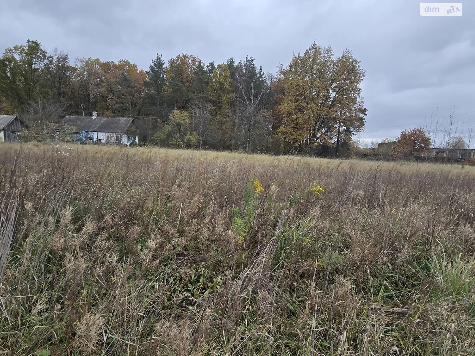 Продается земельный участок 15 соток в Житомирской области, цена: 7500 $ - фото 1