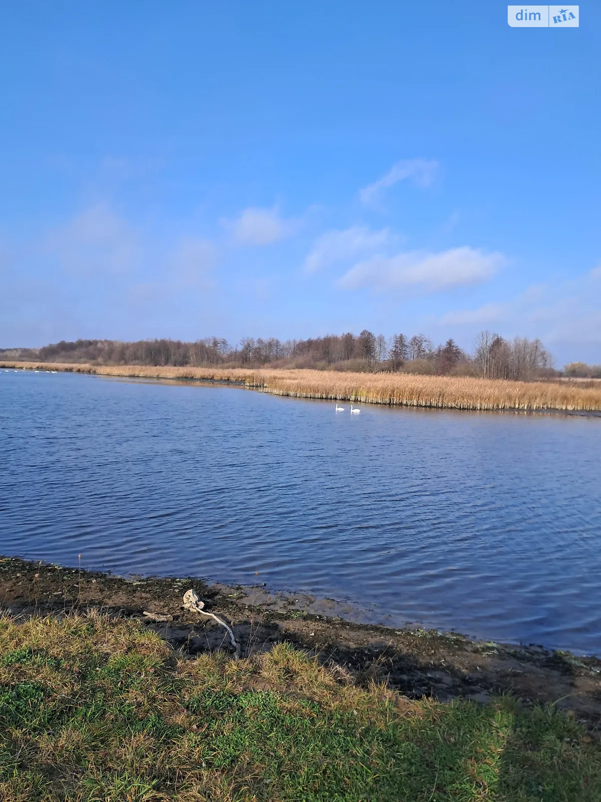 Широкая Гребля (Винница), цена: 265000 $ - фото 1