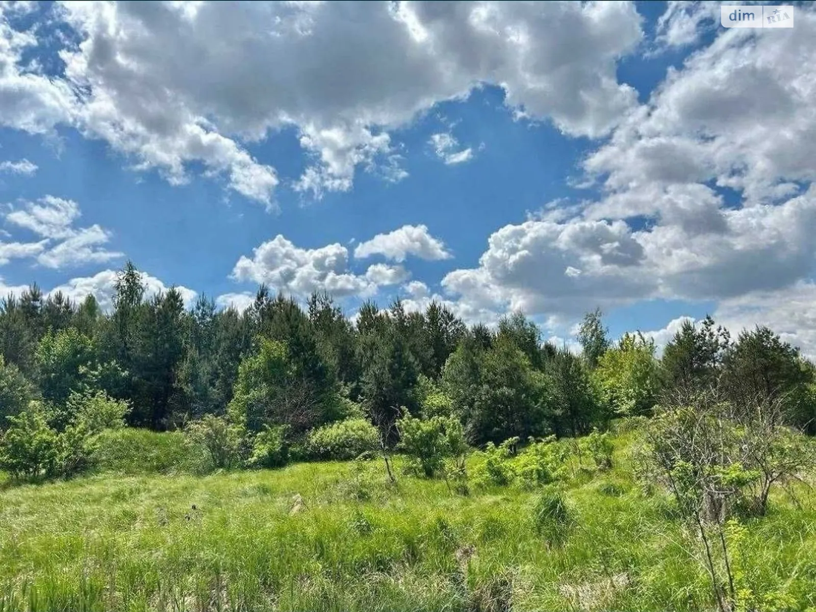 Продается земельный участок 25.15 соток в Киевской области, цена: 27000 $ - фото 1