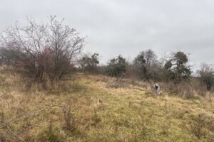 Продажа земли сельскохозяйственного назначения, Винницкая, Писаревка (Винница)