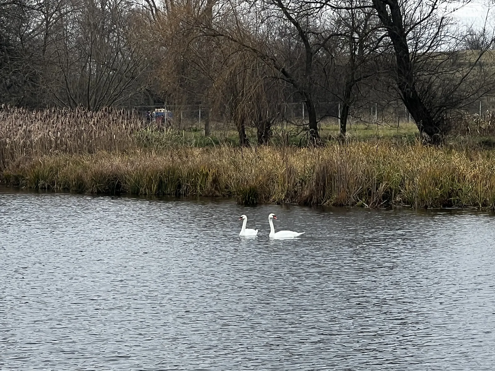 Продается земельный участок 18.92 соток в Винницкой области, цена: 11000 $ - фото 1