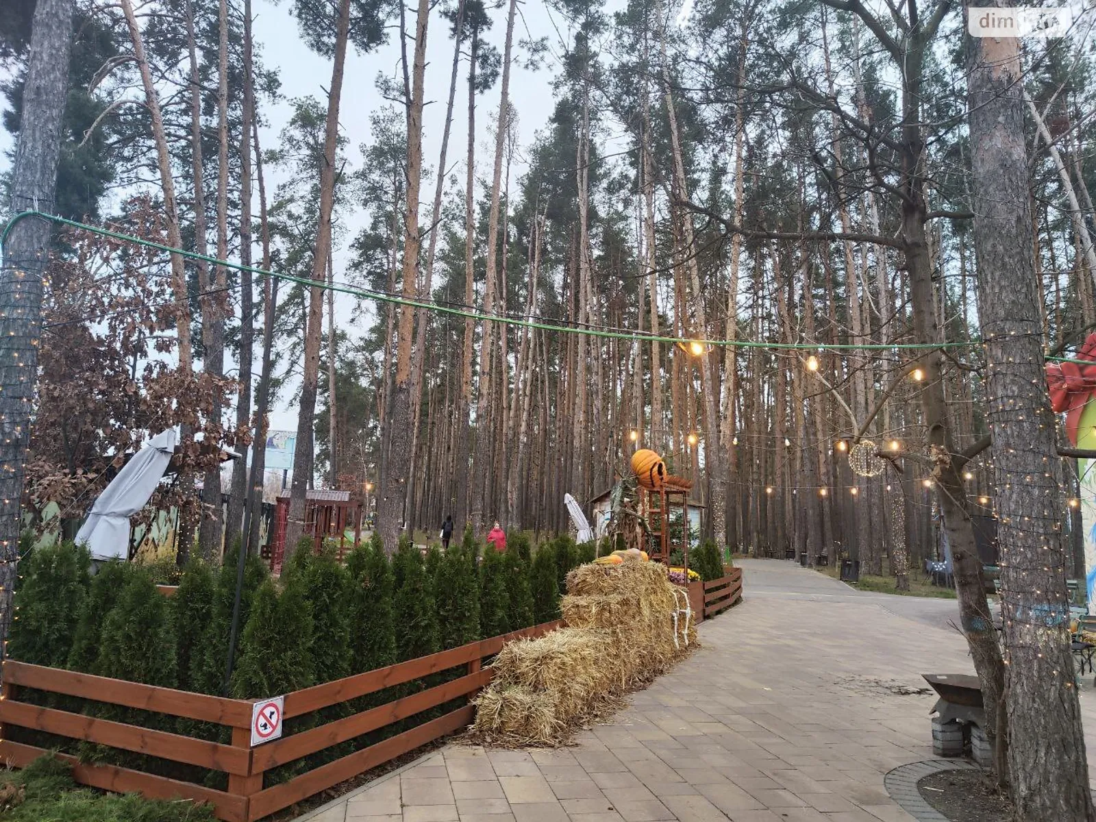 ул. Патриотов Гостомель, цена: 105000 $ - фото 1