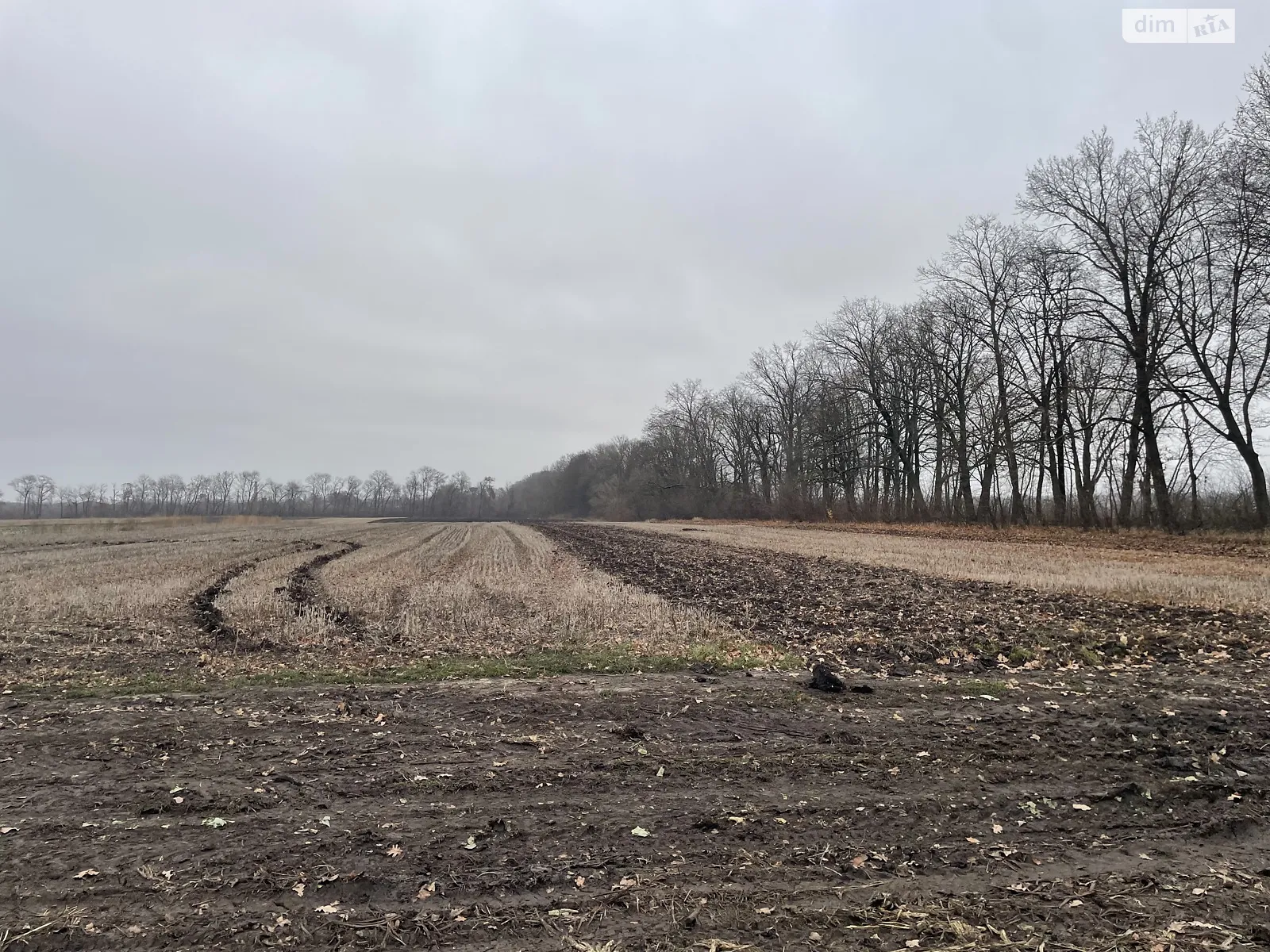 Продается земельный участок 125 соток в Винницкой области, цена: 67000 $ - фото 1