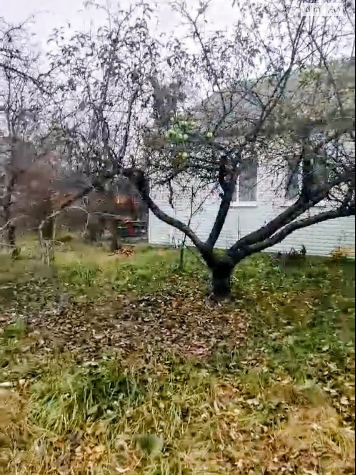 Продается земельный участок 0.25 соток в Житомирской области, цена: 39990 $ - фото 1