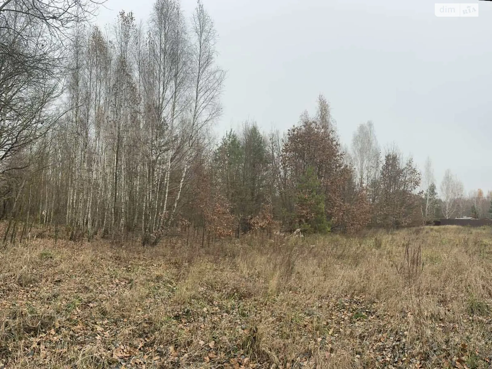 Продается земельный участок 12.1 соток в Киевской области, цена: 5500 $ - фото 1