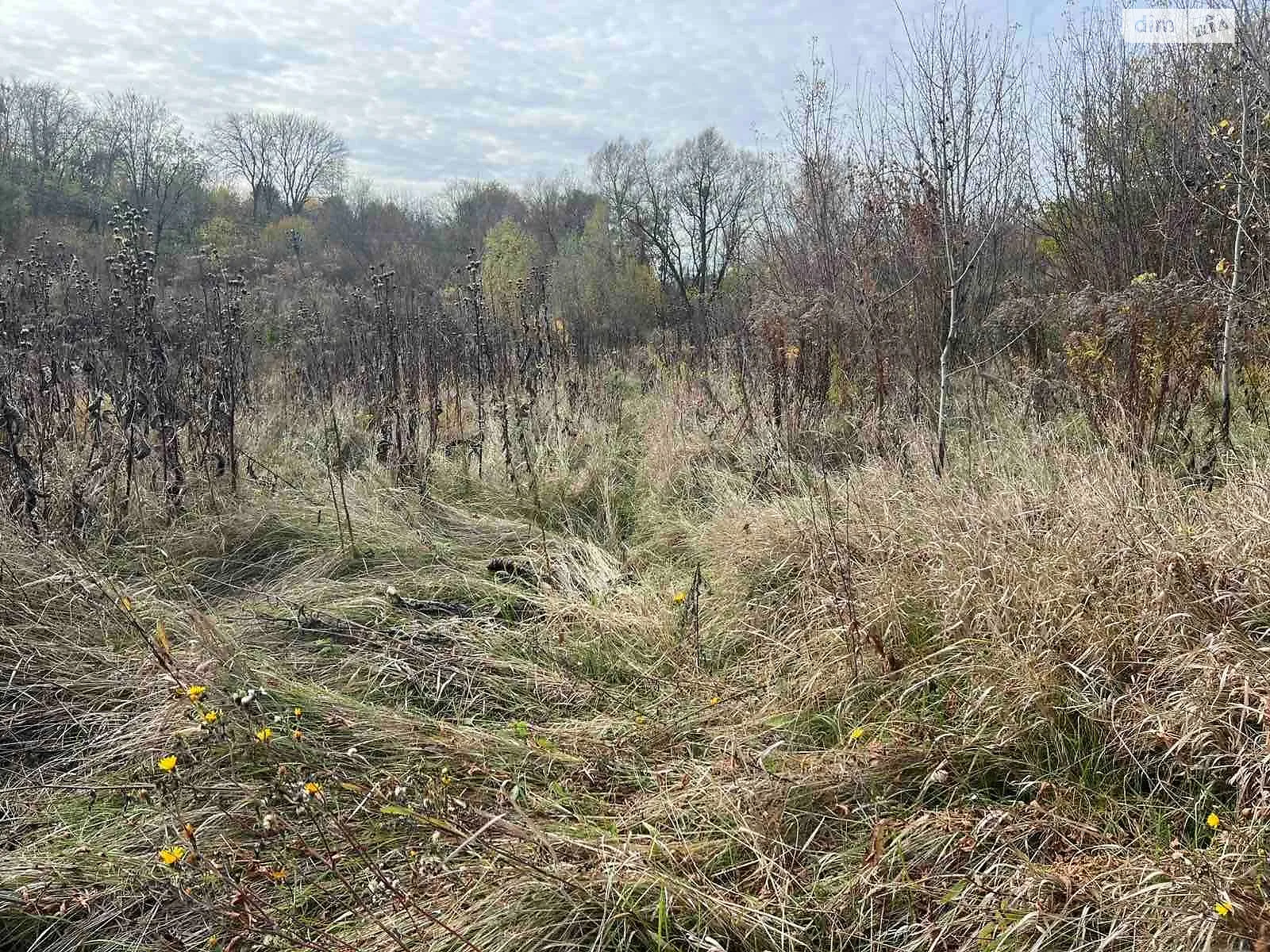 Сдается в аренду земельный участок 1.0708 соток в Киевской области, цена: 1023 грн - фото 1