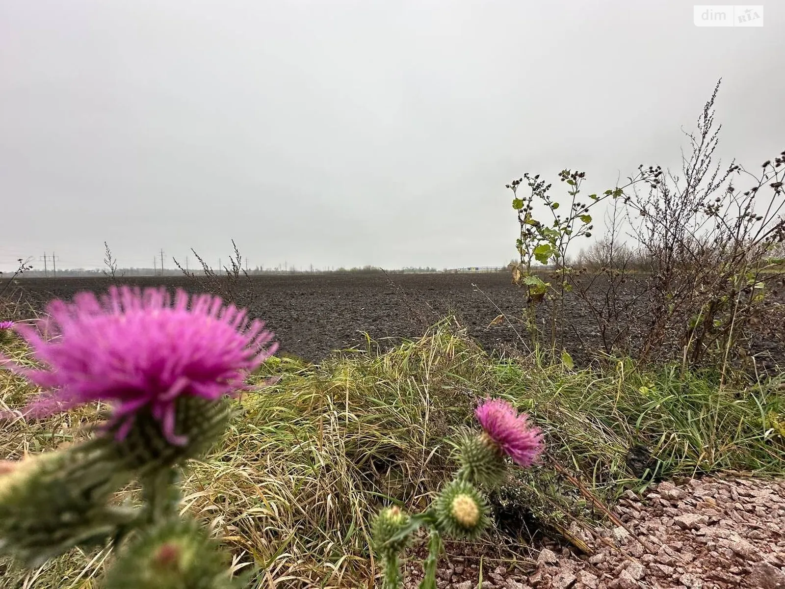 Продається земельна ділянка 10.15 соток у Житомирській області, цена: 3500 $ - фото 1