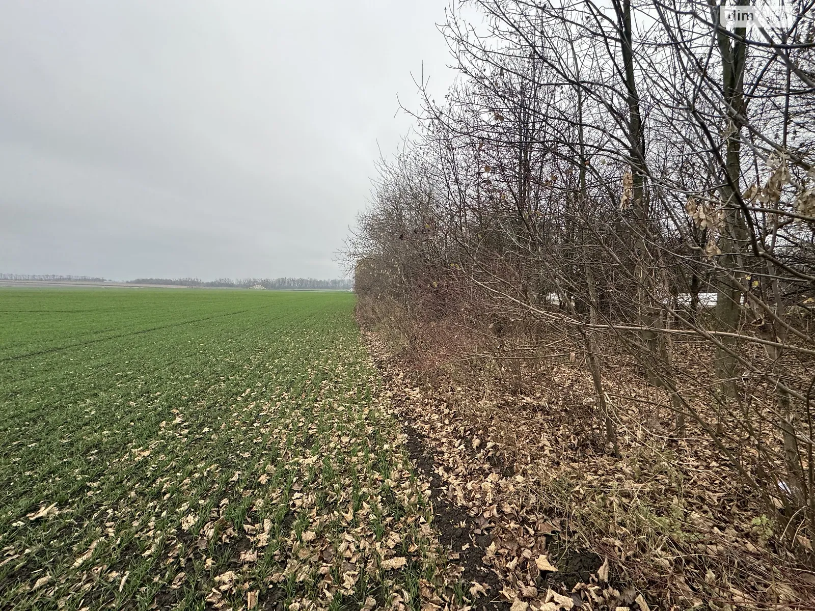 Продається земельна ділянка 5 соток у Вінницькій області, цена: 17000 $ - фото 1