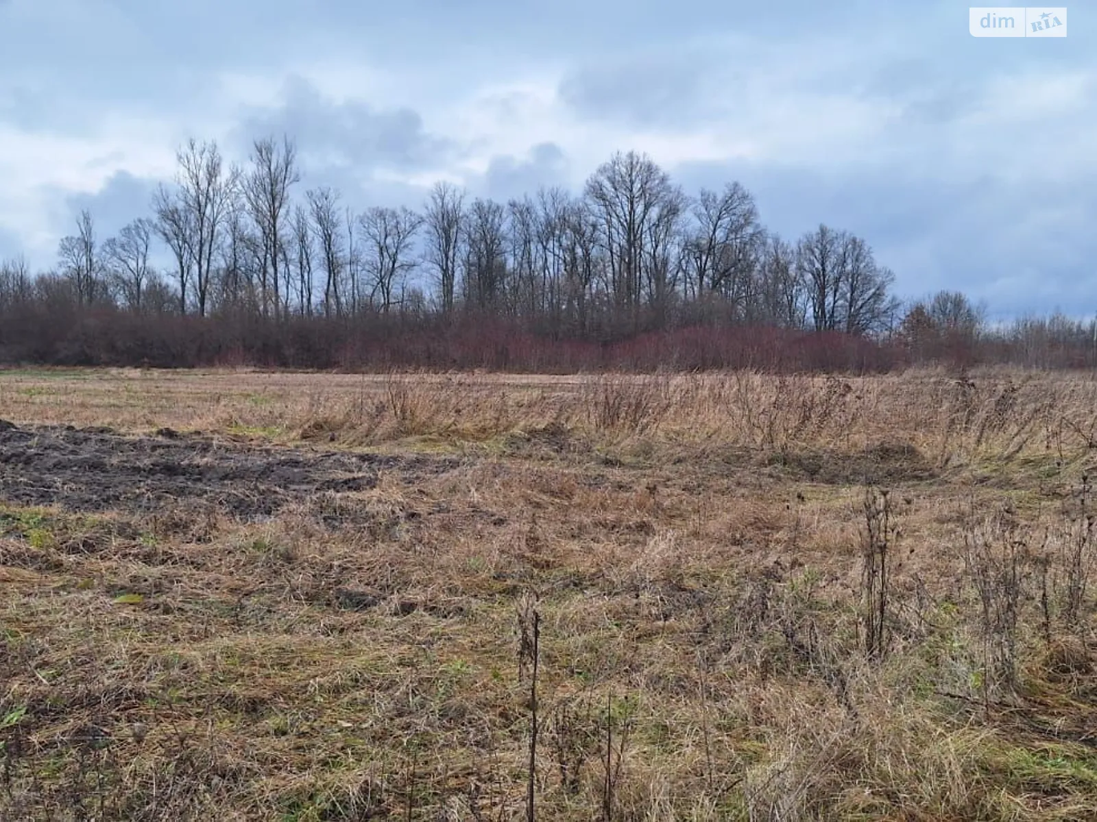 Сдается в аренду земельный участок 3.0631 соток в области, цена: 156262 грн - фото 1