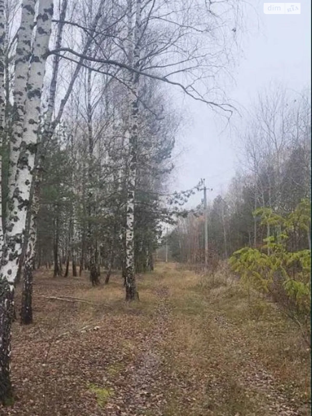 Продается земельный участок 135 соток в Киевской области, цена: 40000 $ - фото 1