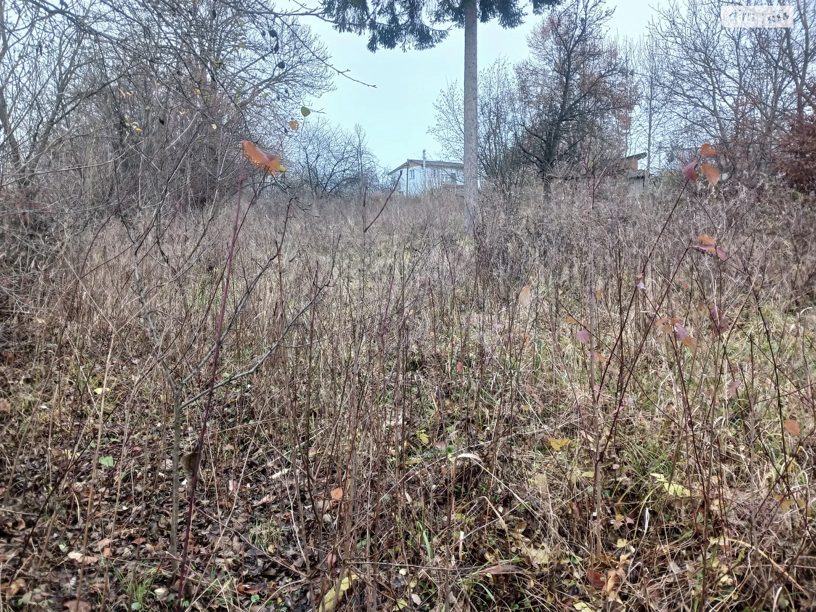 Продается земельный участок 21.24 соток в Хмельницкой области, цена: 8000 $ - фото 1