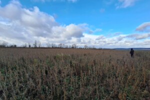 Продажа земли сельскохозяйственного назначения, Хмельницкая, Лесовые Гриновцы, Западная улица, дом 0