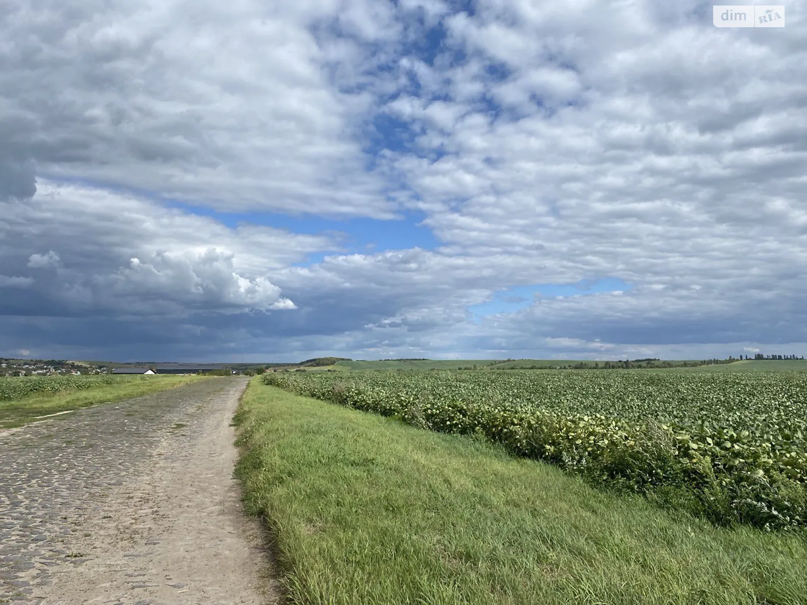 Продается земельный участок 225 соток в Ровенской области, цена: 40000 $ - фото 1