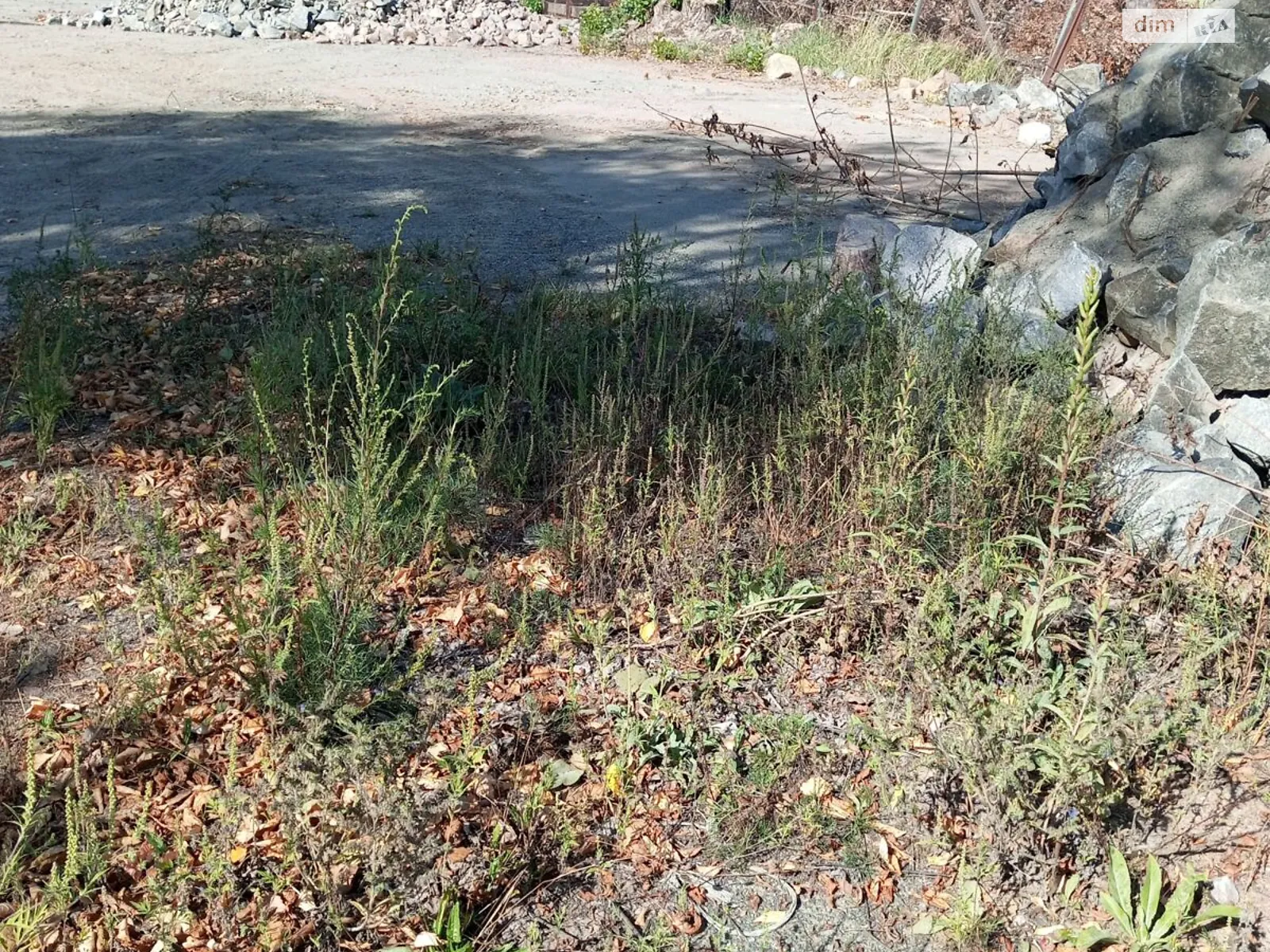 Сдается в аренду земельный участок 0.0408 соток в Житомирской области, цена: 3843 грн - фото 1