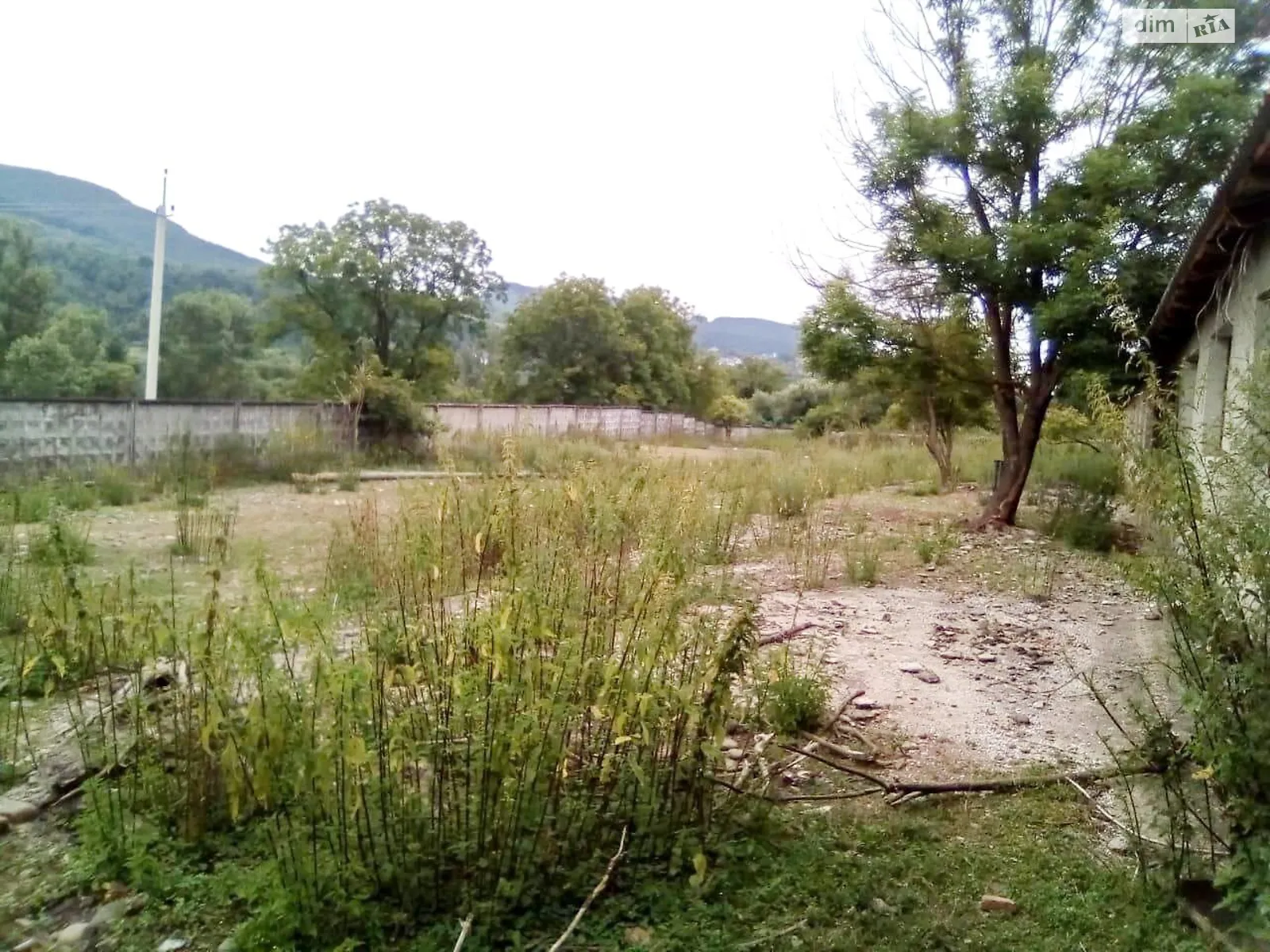 Продается земельный участок 0.4455 соток в Закарпатской области, цена: 60000 € - фото 1