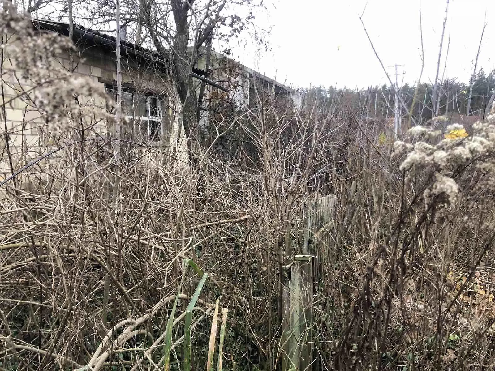 Продается земельный участок 6.5 соток в Киевской области, цена: 53800 $ - фото 1