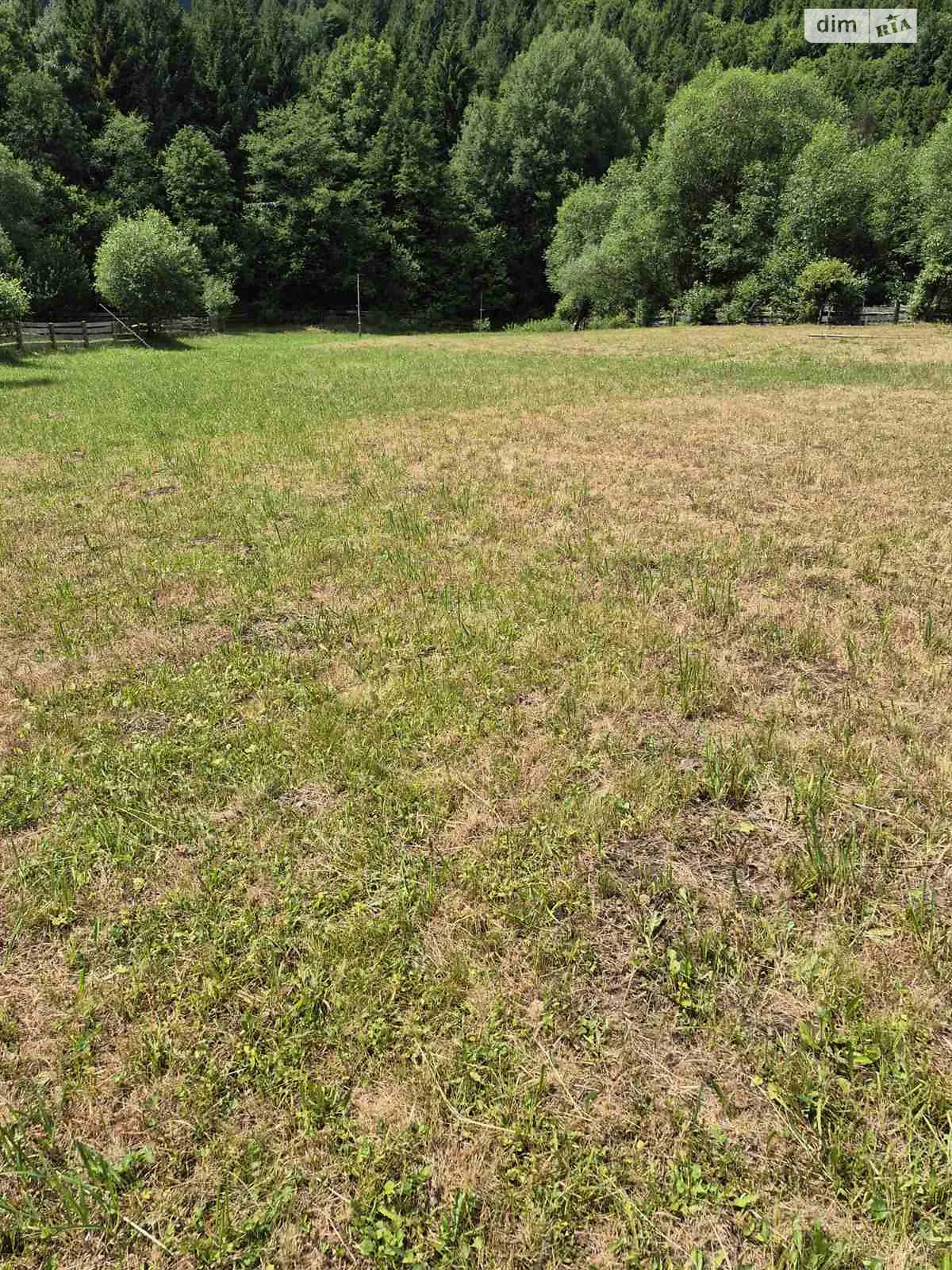 Продается земельный участок 10.97 соток в Закарпатской области, цена: 11000 $ - фото 1