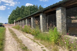 Куплю дом Житомирской области