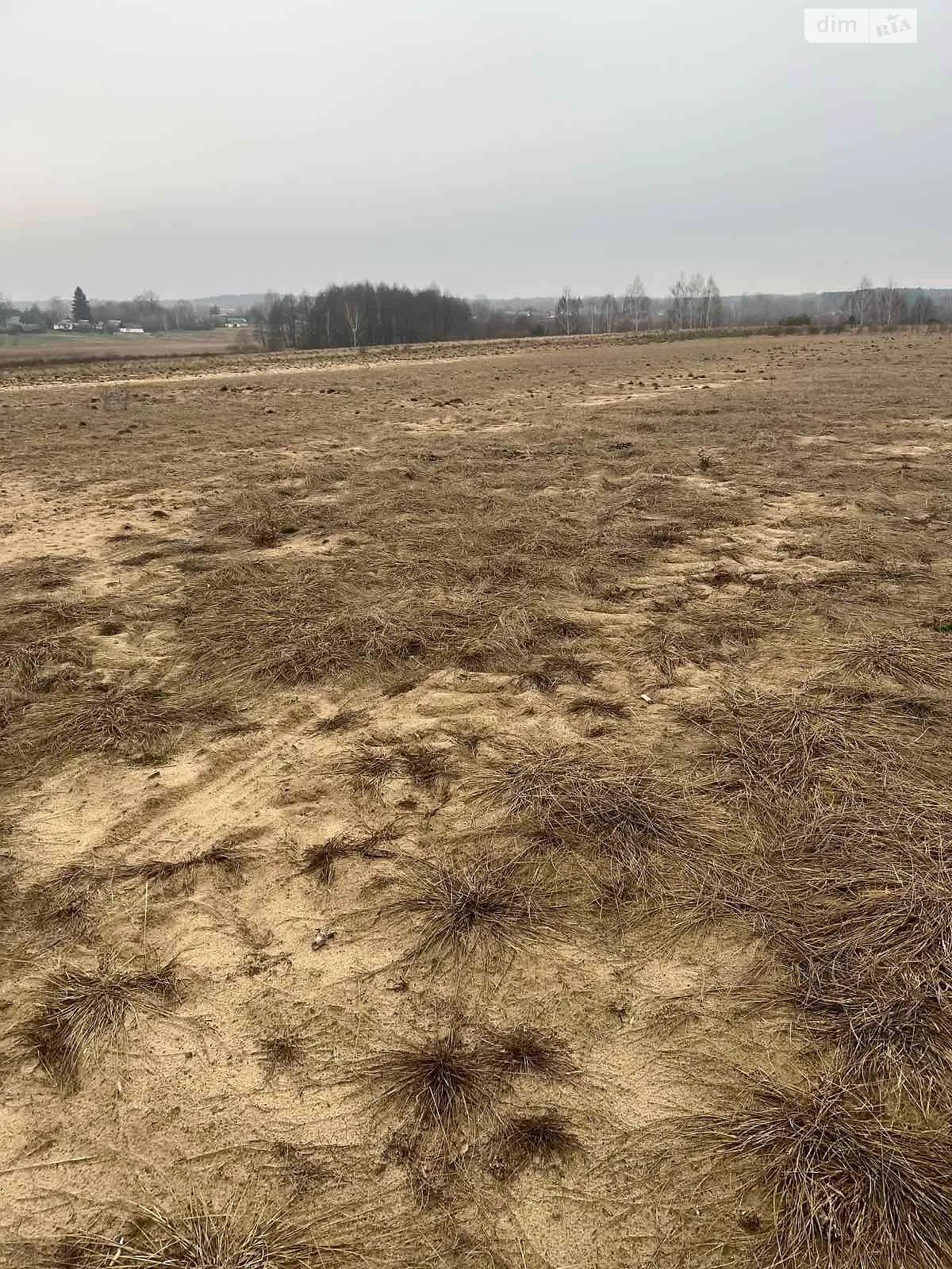 Сдается в аренду земельный участок 7.3702 соток в Житомирской области, цена: 13456 грн - фото 1