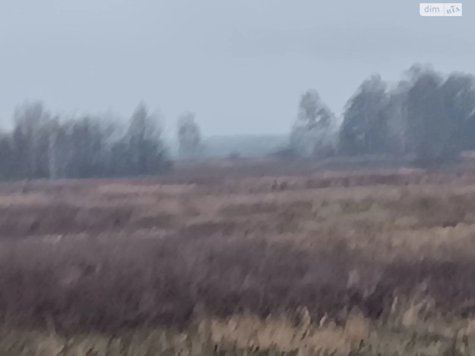 Здається в оренду земельна ділянка 15.3749 соток у Чернігівській області, цена: 23963 грн - фото 1