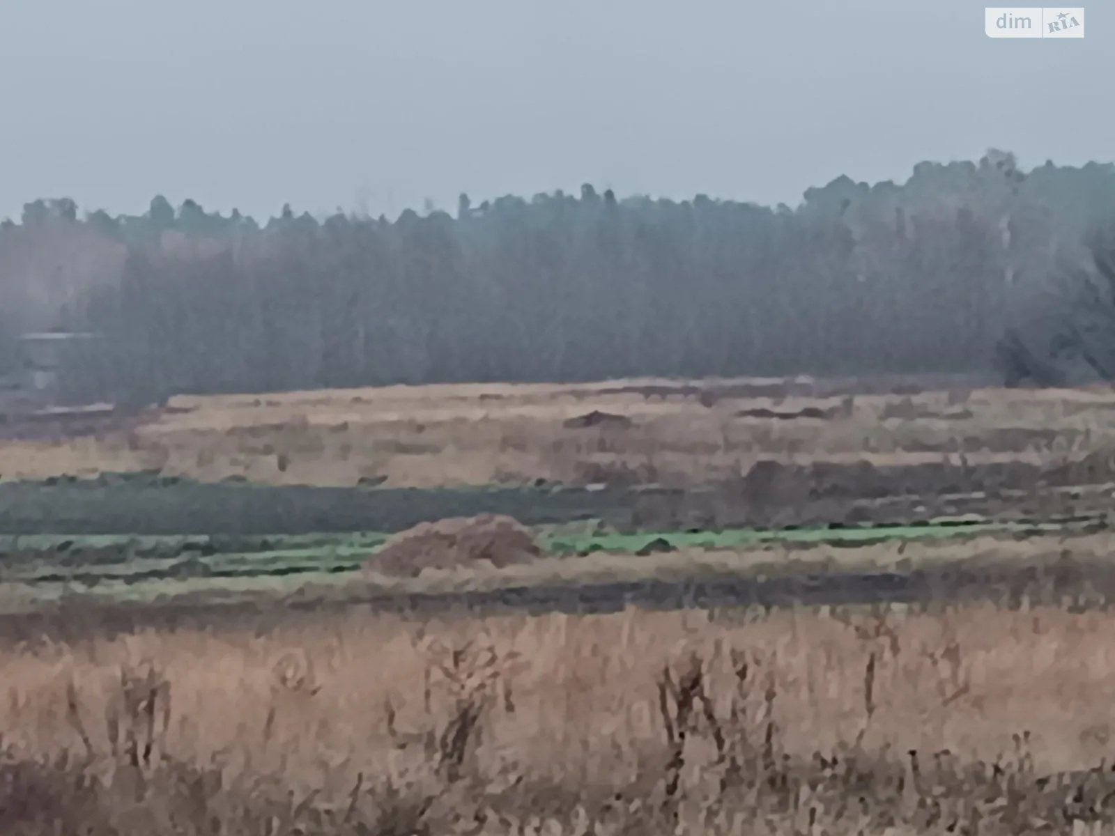 Здається в оренду земельна ділянка 14.4081 соток у Чернігівській області, цена: 19645 грн - фото 1