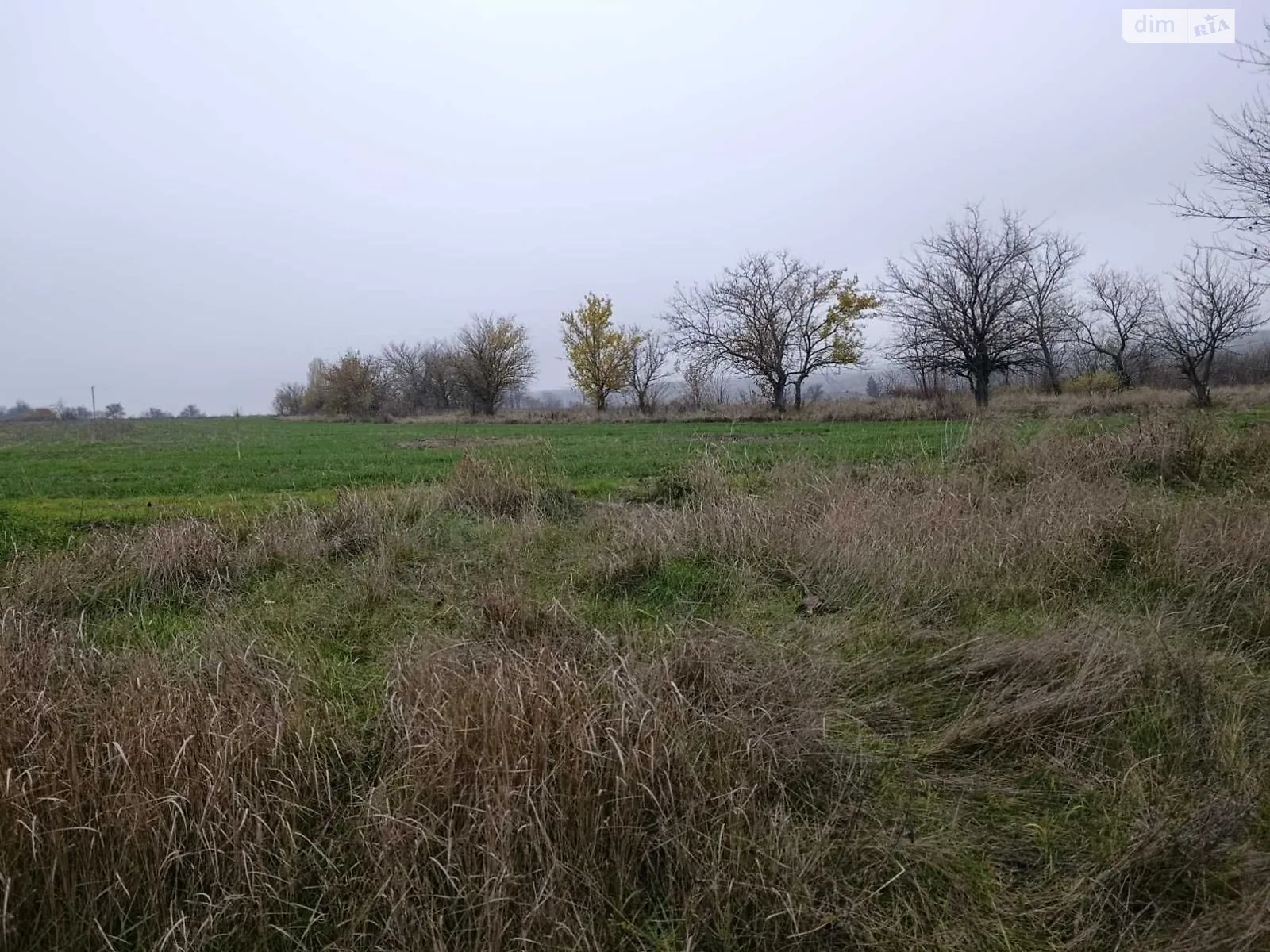 Сдается в аренду земельный участок 3.43 соток в области, цена: 14950 грн - фото 1