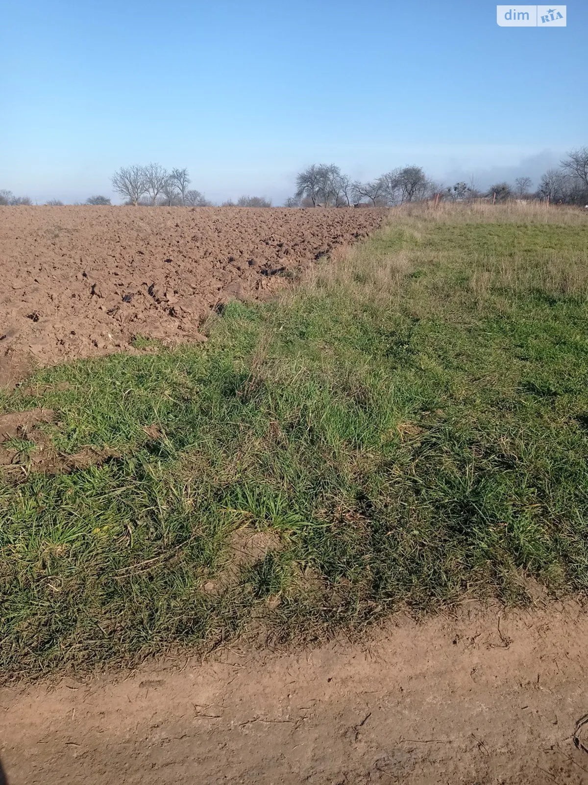 Продається земельна ділянка 25 соток у Хмельницькій області, цена: 6500 $ - фото 1