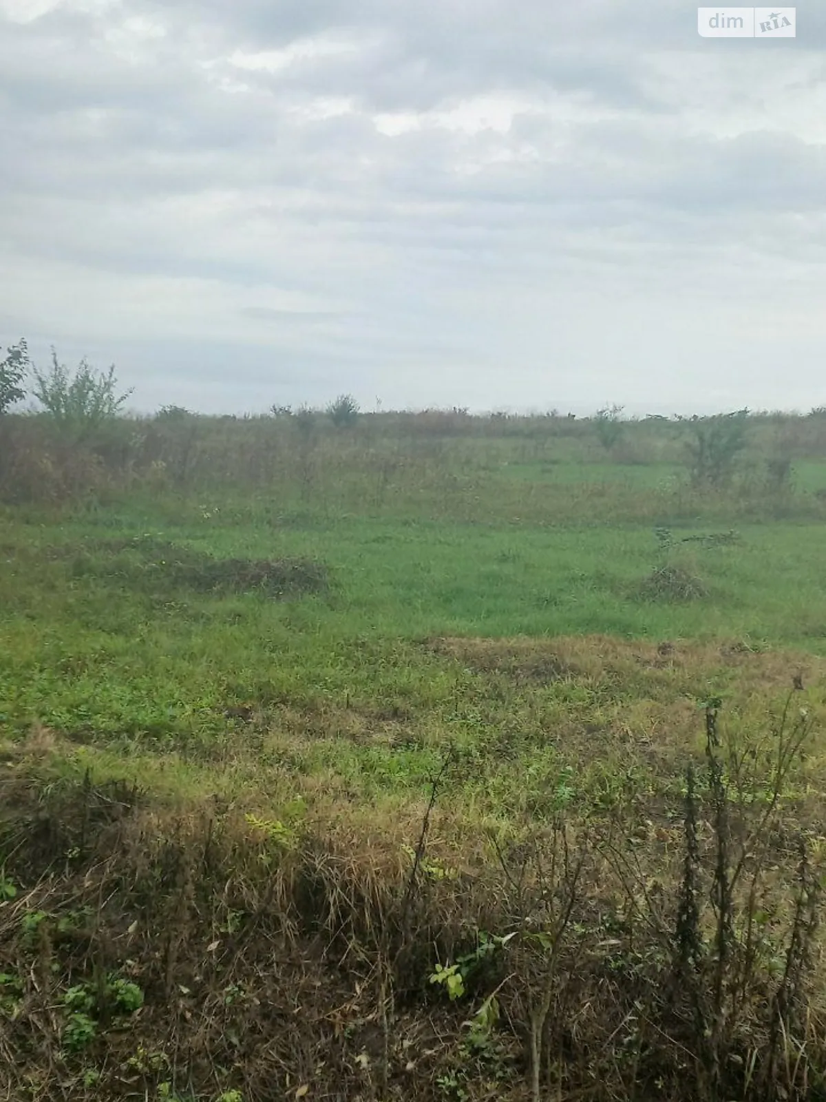 Здається в оренду земельна ділянка 11.2534 соток у Львівській області, цена: 28565 грн - фото 1