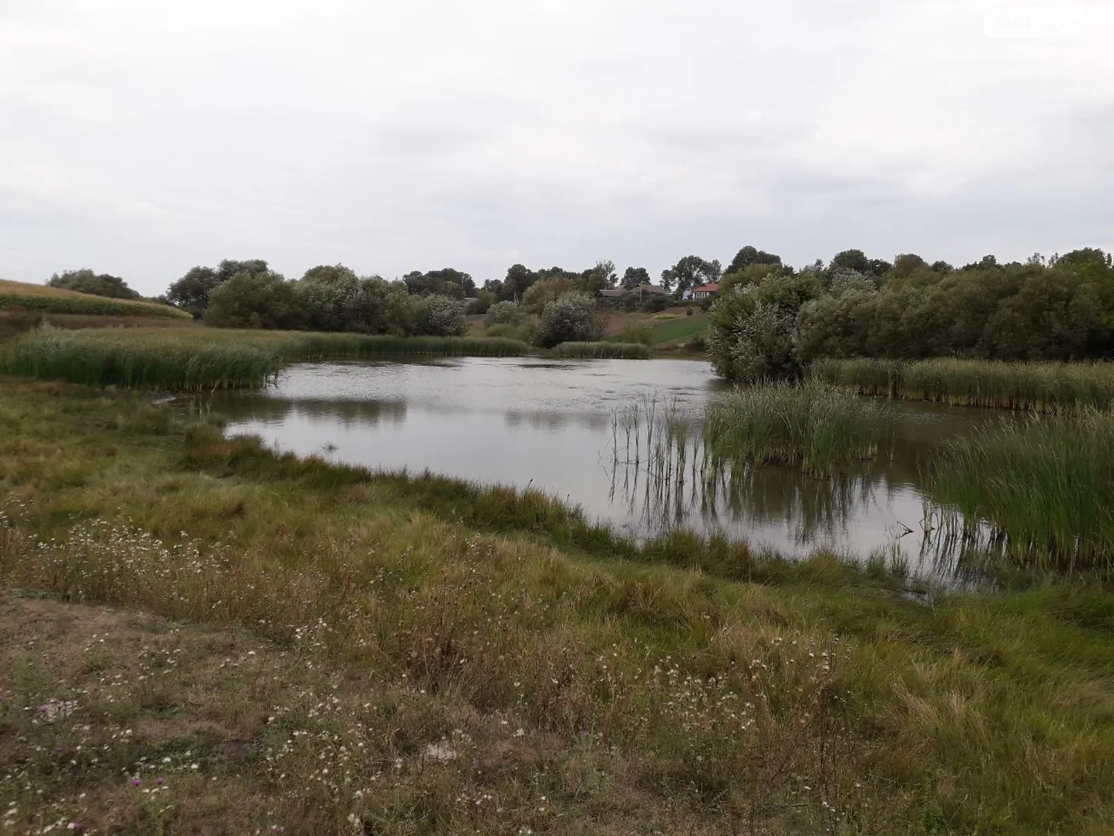 Сдается в аренду земельный участок 1.6244 соток в Хмельницкой области, цена: 5521 грн - фото 1