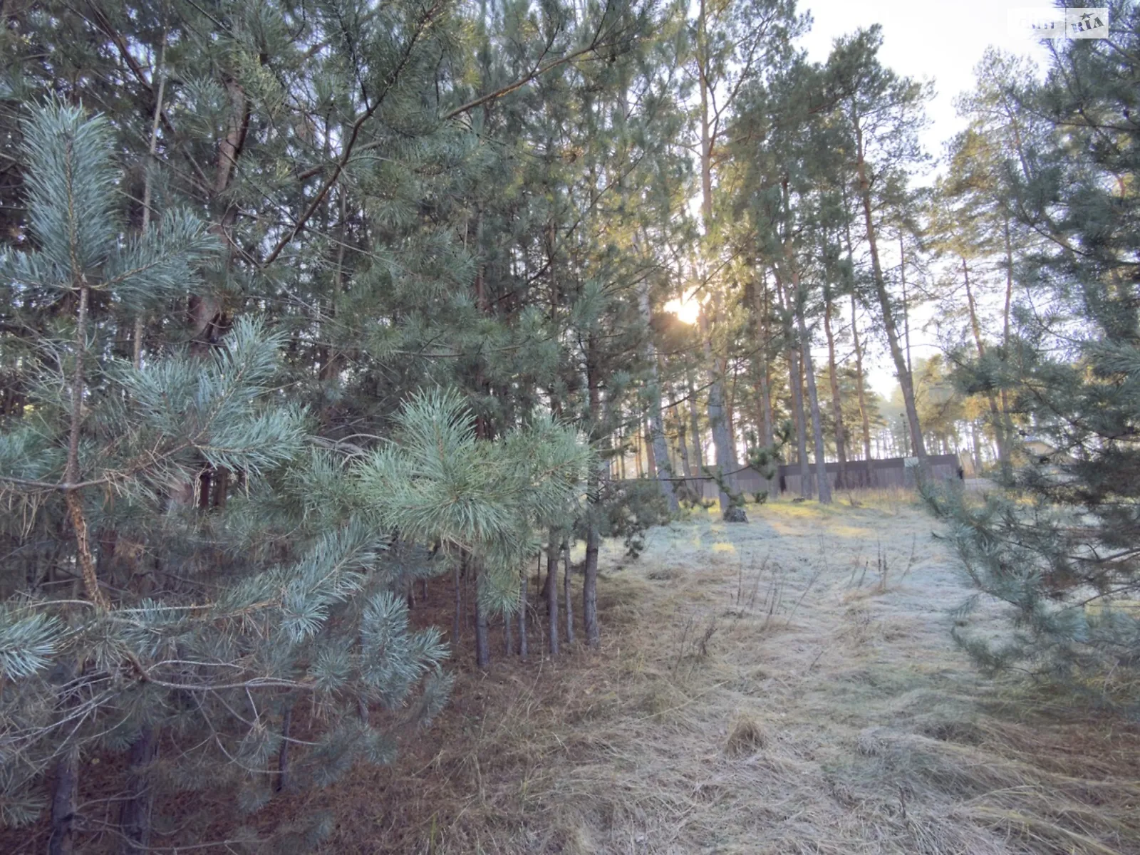 Продается земельный участок 43.7 соток в Киевской области, цена: 155000 $ - фото 1