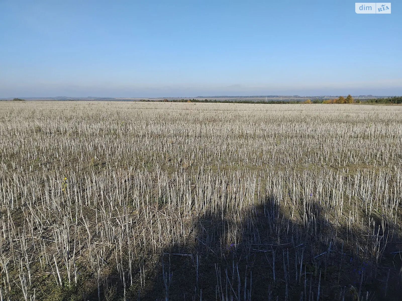 Сдается в аренду земельный участок 17 соток в Хмельницкой области, цена: 87297 грн - фото 1