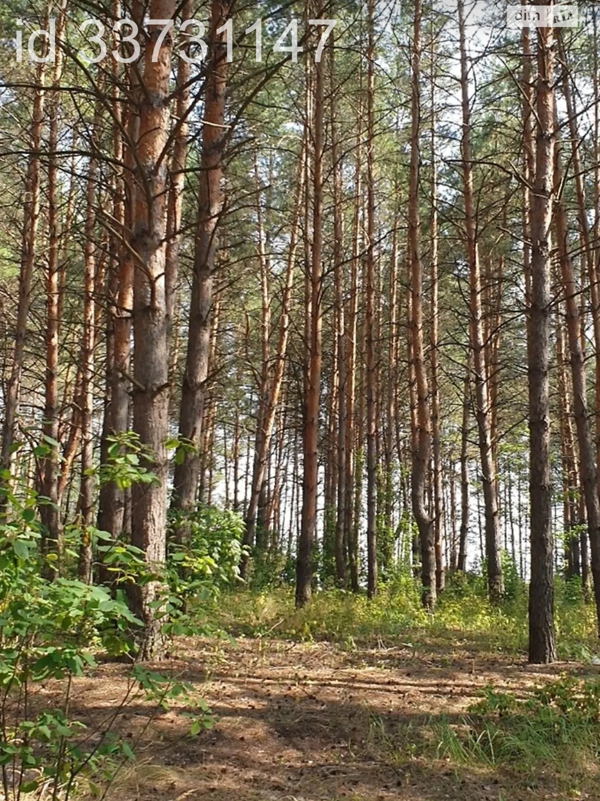 Продается земельный участок 12 соток в Киевской области, цена: 7000 $ - фото 1