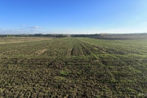 Продаж ділянки під житлову забудову, Хмельницька, Стара Ушиця