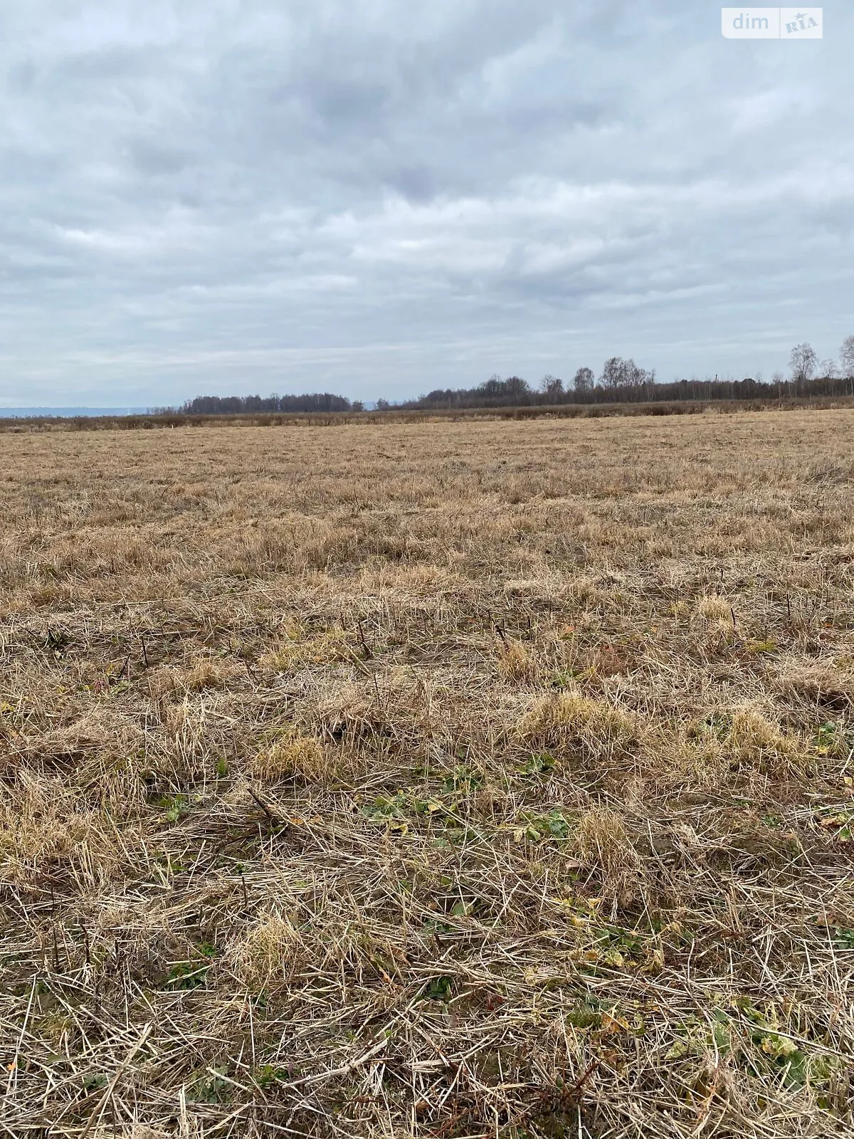 Продается земельный участок 5.2005 соток в Ивано-Франковской области, цена: 9680731 грн - фото 1