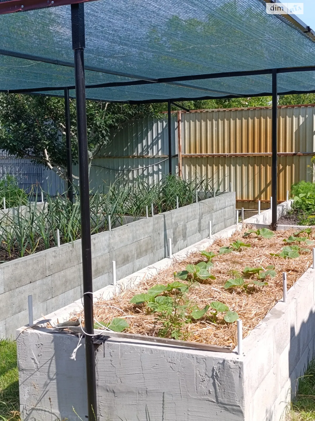 Продается земельный участок 6 соток в Киевской области, цена: 5500 $ - фото 1