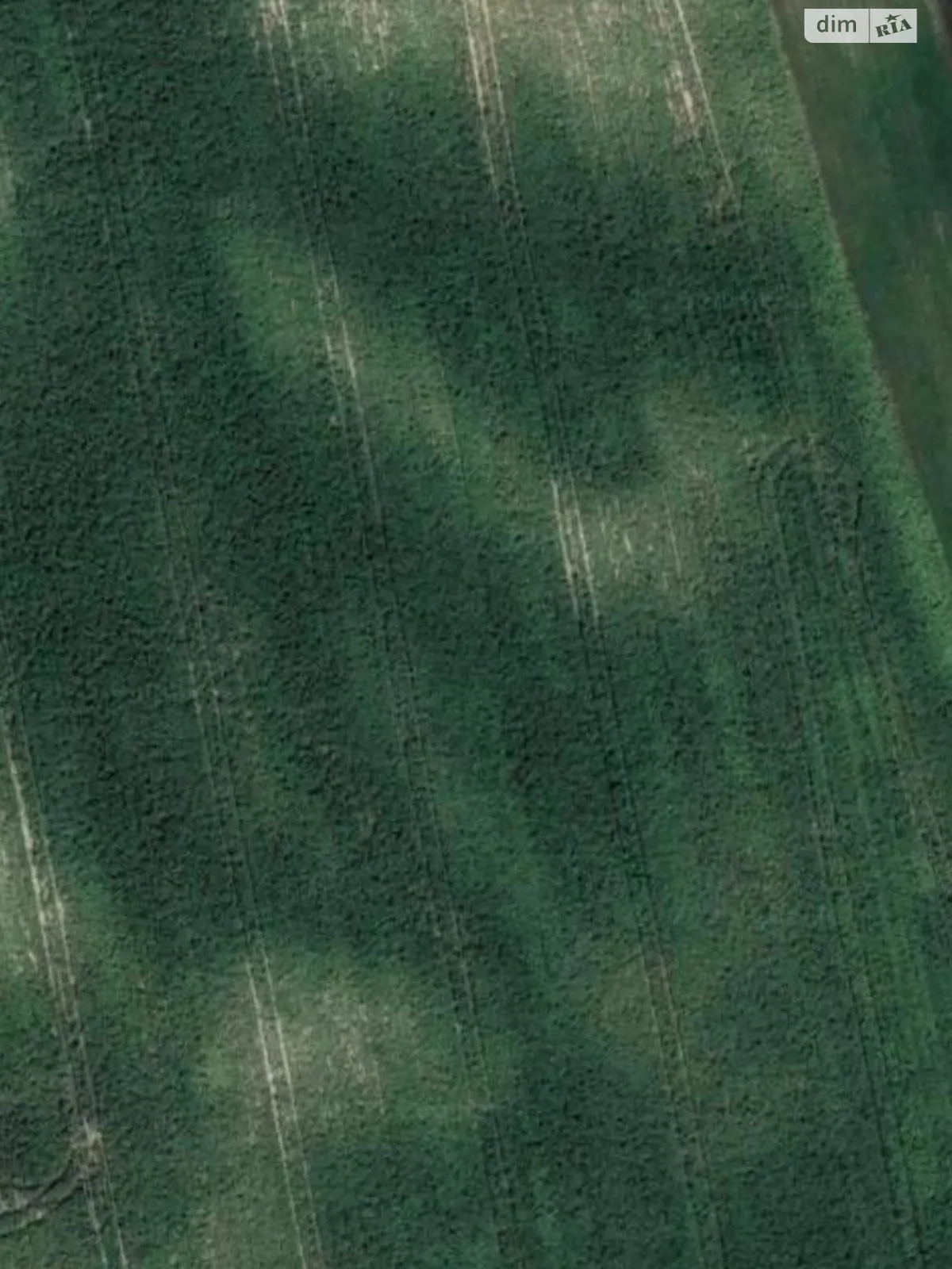 Продается земельный участок 3.1684 соток в Ровенской области, цена: 66000 грн - фото 1