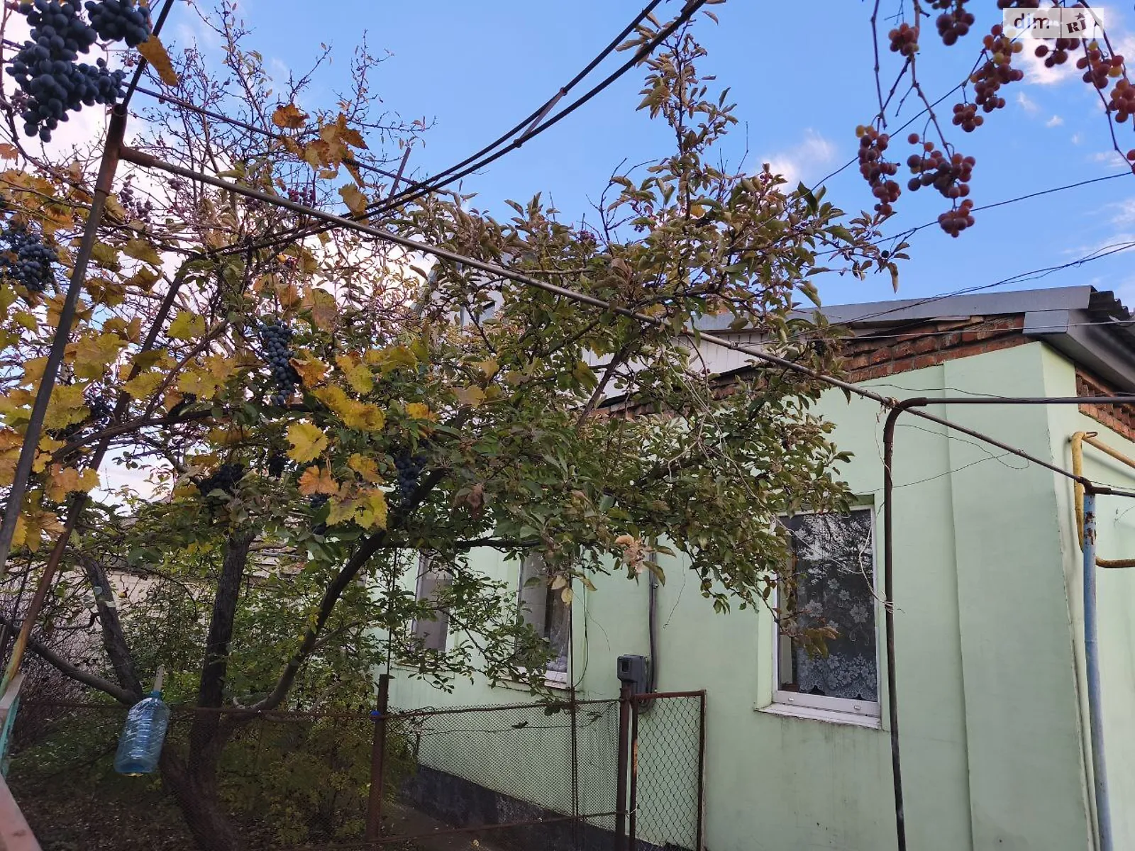 Продается одноэтажный дом 46.6 кв. м с садом, цена: 25000 $ - фото 1