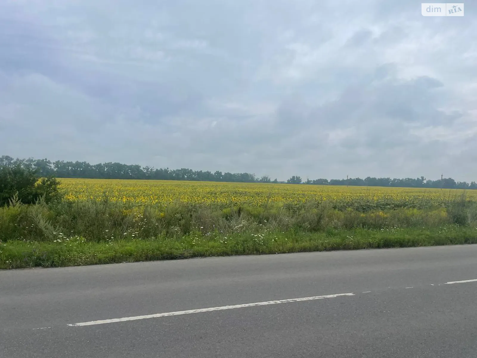 Продается земельный участок 6.08 соток в Киевской области, цена: 912000 $ - фото 1