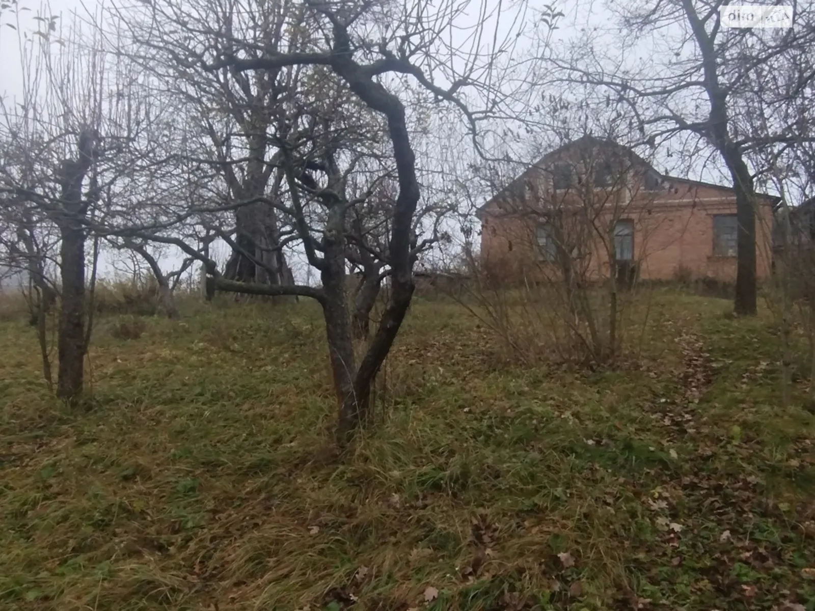 Продається земельна ділянка 60 соток у Вінницькій області, цена: 100000 $ - фото 1