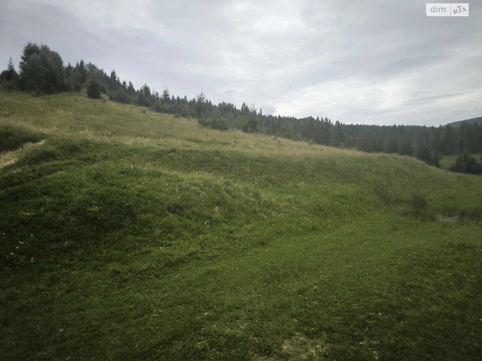 Продается земельный участок 10 соток в Львовской области, цена: 5000 $ - фото 1