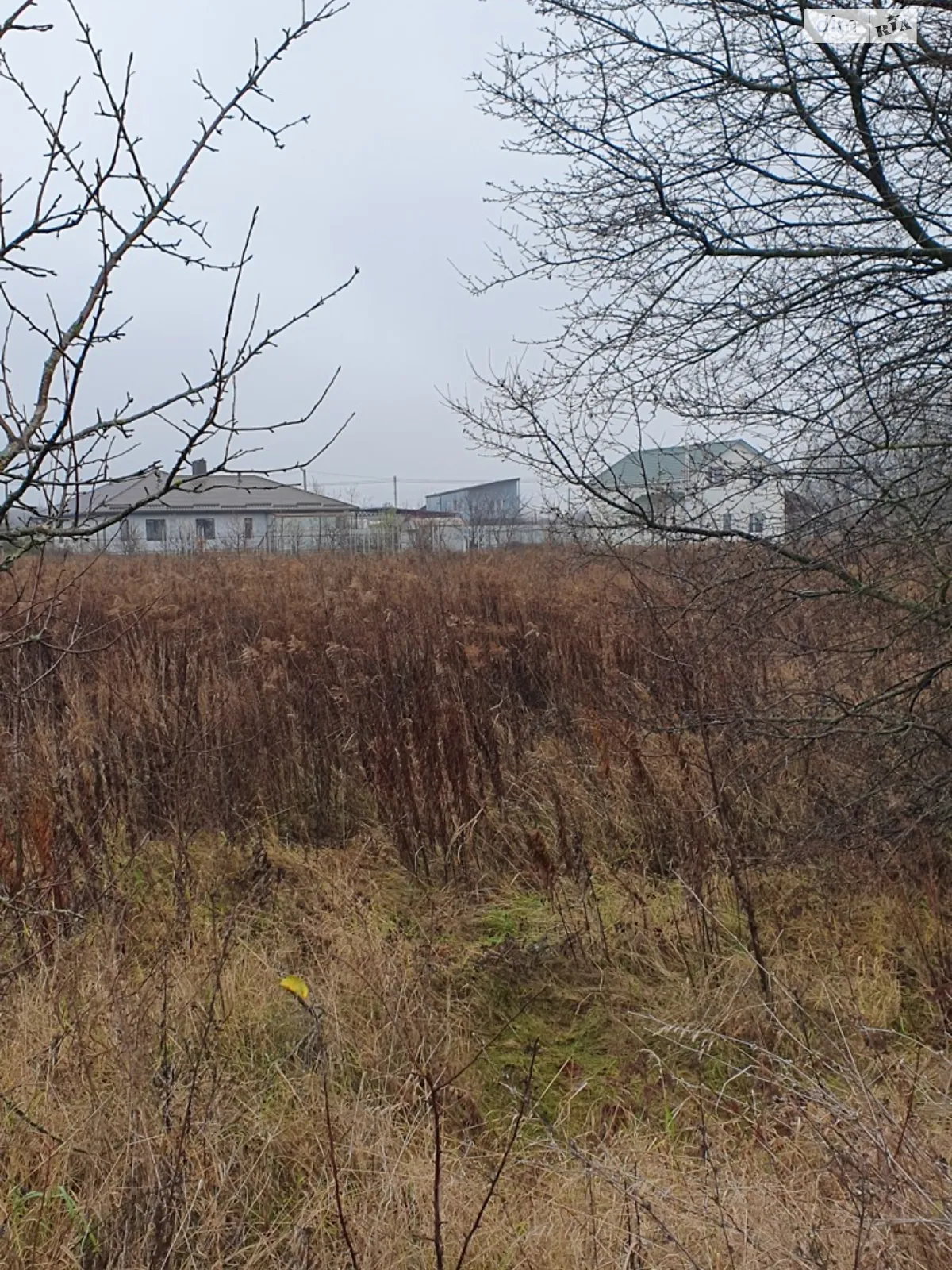 Продается земельный участок 10 соток в Винницкой области, цена: 25000 $ - фото 1