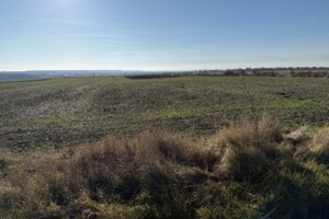 Продажа земли сельскохозяйственного назначения, Ровенская, Колоденка