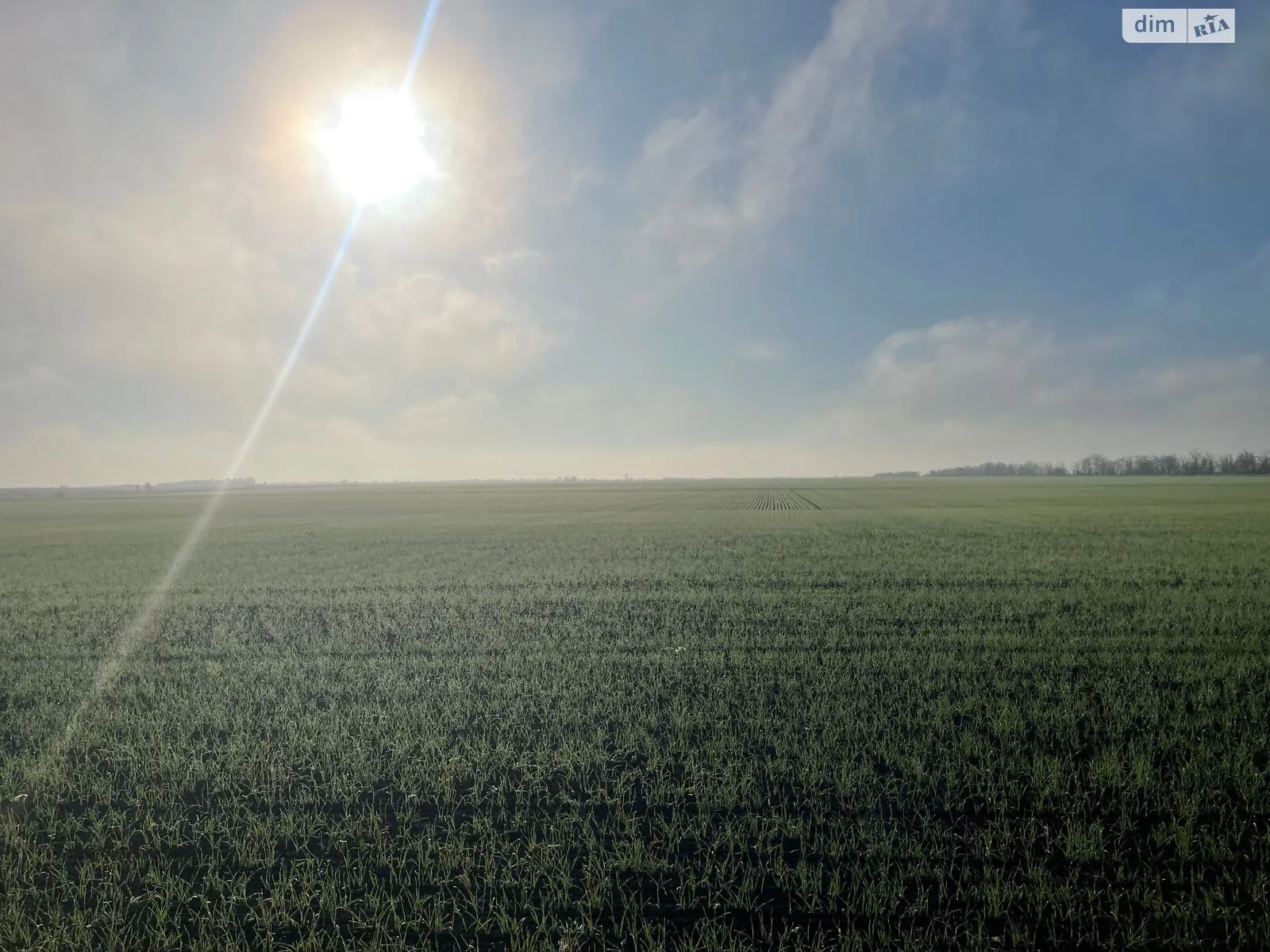 Здається в оренду земельна ділянка 16.25 соток у Миколаївській області, цена: 59036 грн - фото 1