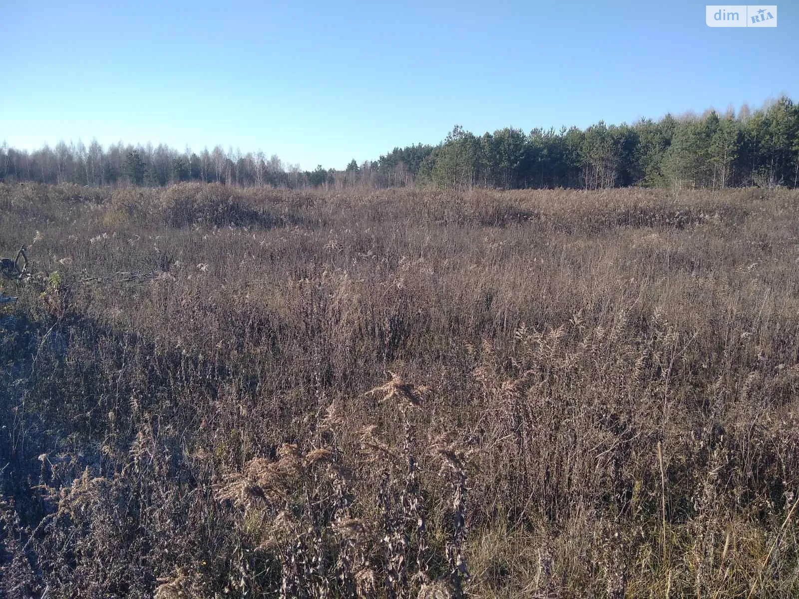 Сдается в аренду земельный участок 1.4543 соток в Черниговской области, цена: 6230 грн - фото 1